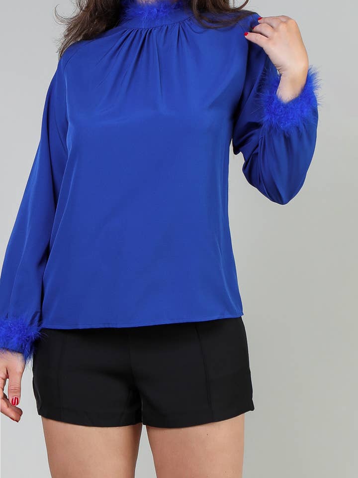 BLUE feather detail lantern sleeve top for wholesale on Faire6