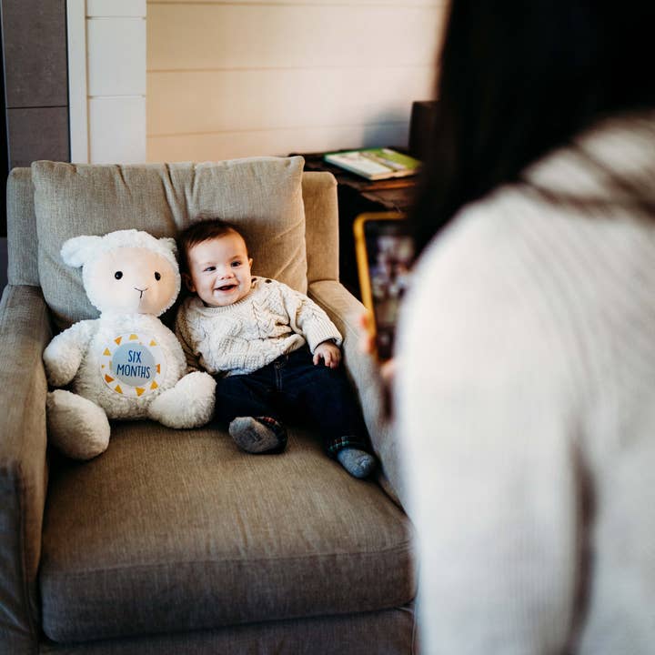 Grow With Me Baby Co - Wholesale Stuffed/Plush Toy - Kids & Baby - Monthly Milestone Tracker, Lamb Stuffed Animal 8