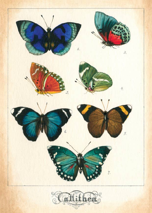 Bomo Art Budapest - Wholesale Everyday Greeting Card - Greeting Card + Envelope43