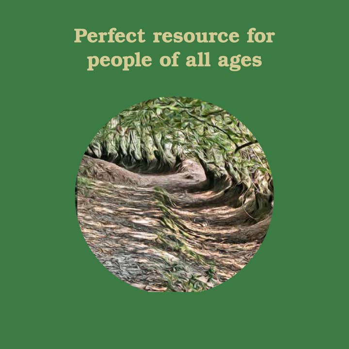 Chronicle Books - Wholesale Nature & Outdoors - Forest School for Grown-Ups3
