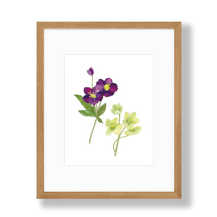 Hellebore Art Print for wholesale by Kathryn Voss Design