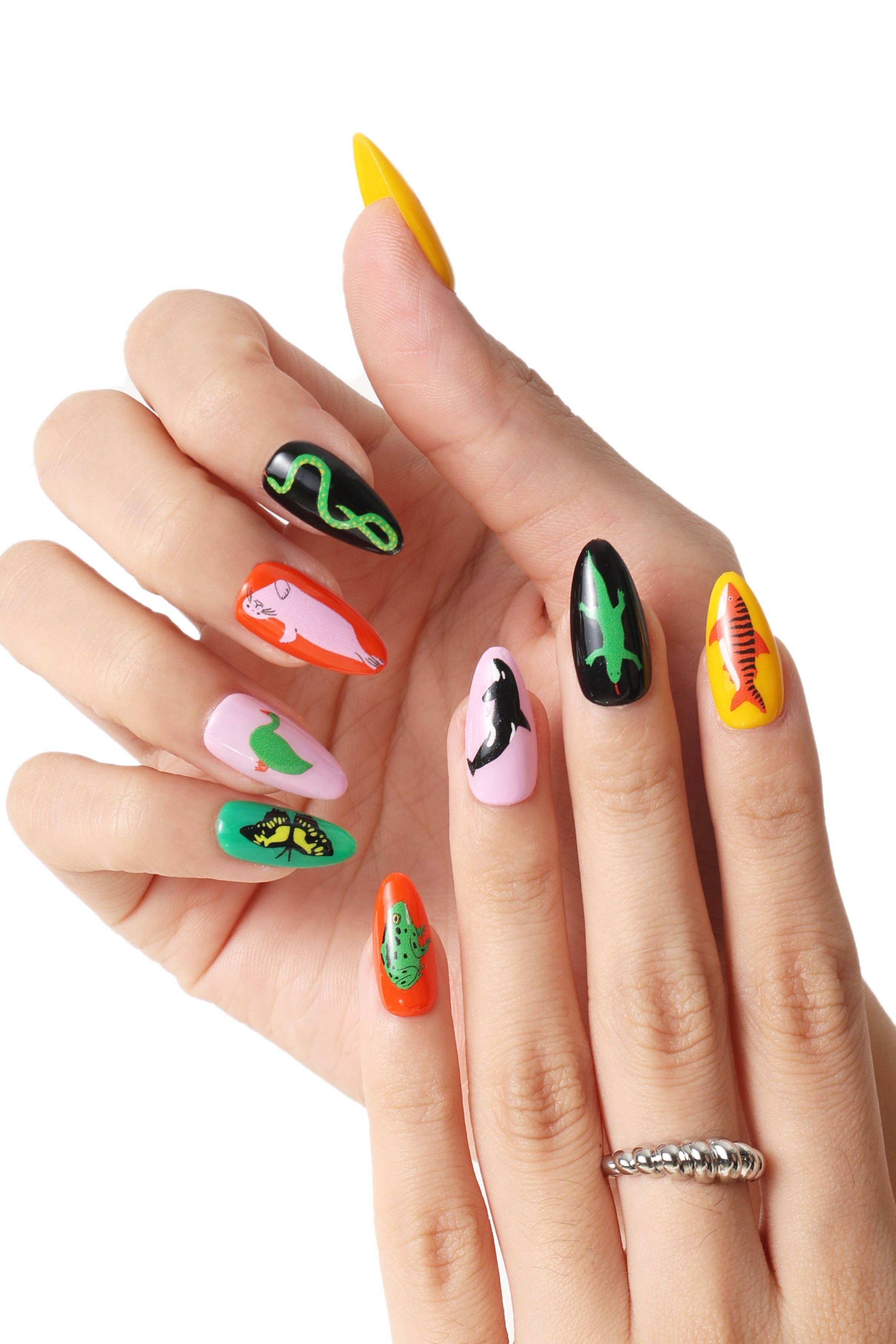 Never Have I Ever - Wholesale Press-On/Fake Nails - Animal Planet by Lorien Stern - Press-on Nails1