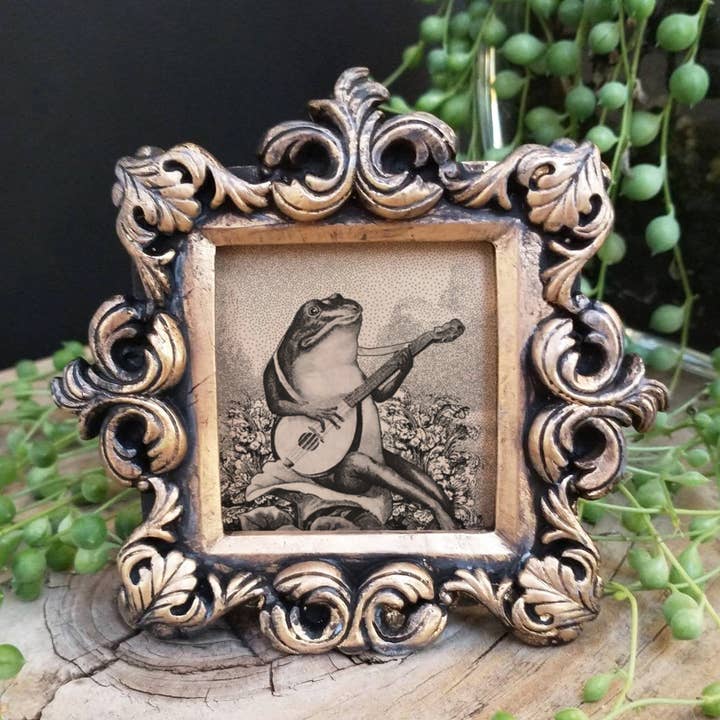 BoyPilot Goods - Wholesale Art Print - Mini Vintage Framed Animal Prints - Raccoon, Frog, Cat0