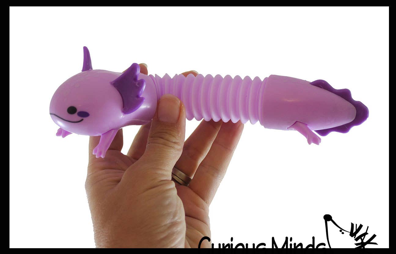 Curious Minds Toys – Brinquedo Fidget - Crianças por atacado – 1 Giro Axolotl Pull e Pop Snap Animal Expandindo Fidget5
