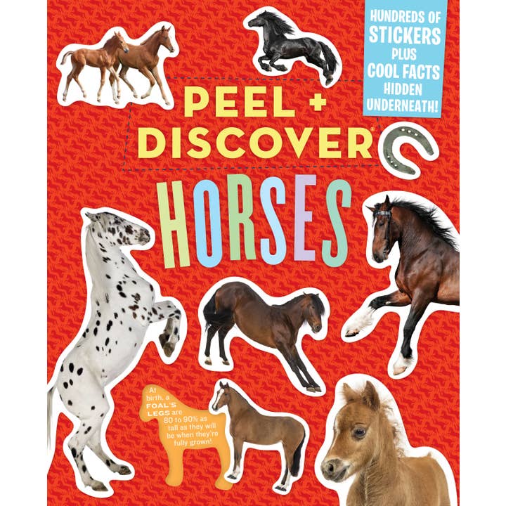 Peel + Discover: Horses for wholesale by Hachette Book Group