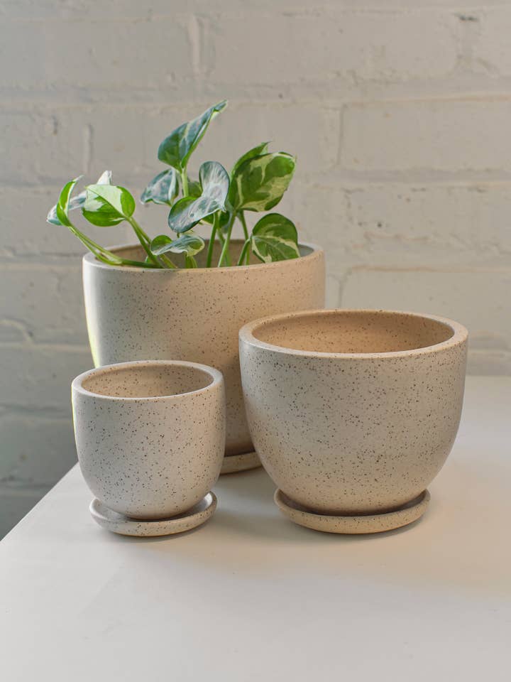 Medium Classic Tabletop Planter in Speckled Clay for wholesale by Little Fire Ceramics
