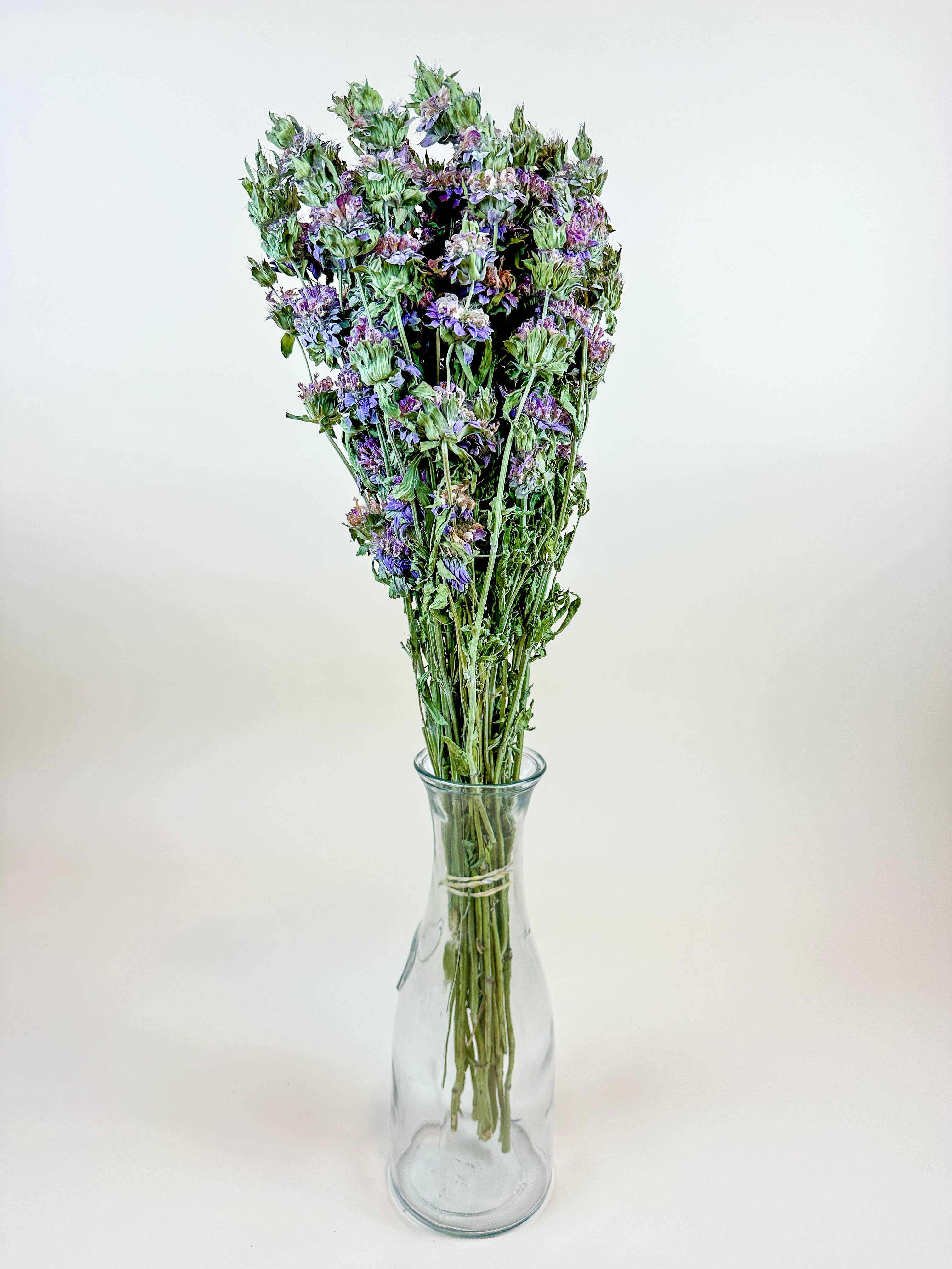 Lovejoy Farms Premium Dried Flowers - Vendita all'ingrosso Fiori secchi/pressati - Menta Limone – Fiori Essiccati con Fiori Viola-Rosa e Menta Delicata2