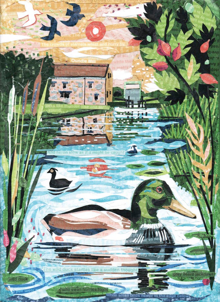 Jamie Poole – wholesale Everyday greeting card – The Wild Duck – A5 Art Card, Pack of 6, Blank Inside1