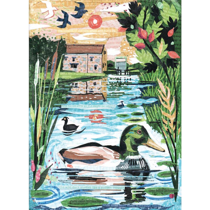 Jamie Poole – wholesale Everyday greeting card – The Wild Duck – A5 Art Card, Pack of 6, Blank Inside1