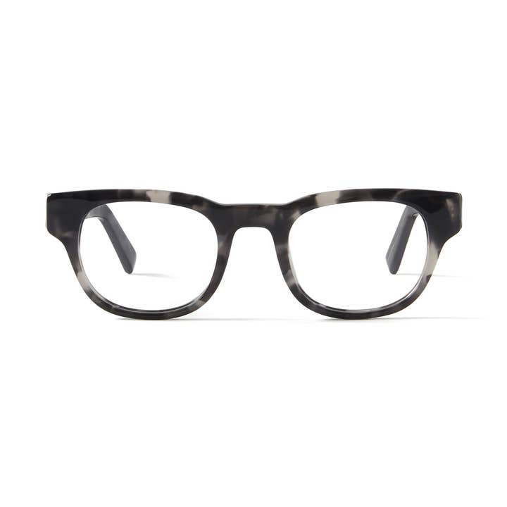 Francis Grey Tortoise for wholesale by French Kiwis