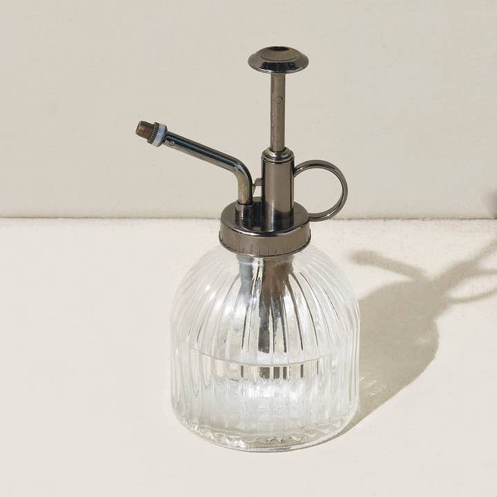 Senhor de vidro transparente por atacado de Modern Sprout - International