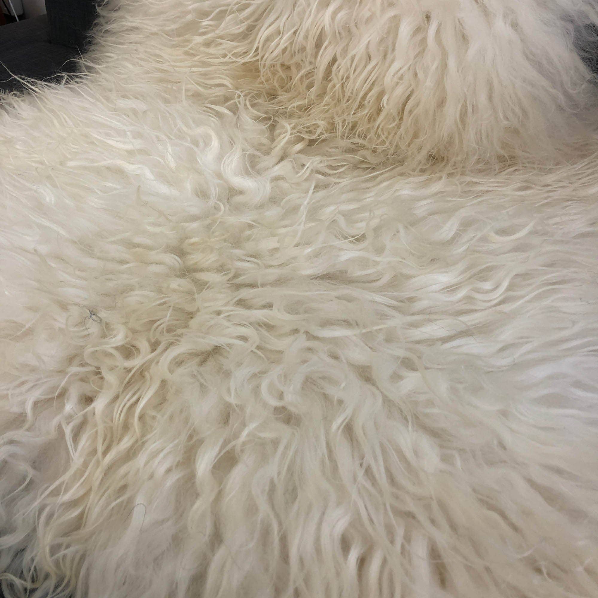 Wildash London - Wholesale Area Rug - Icelandic Curly White Sheepskin Rug 100%2