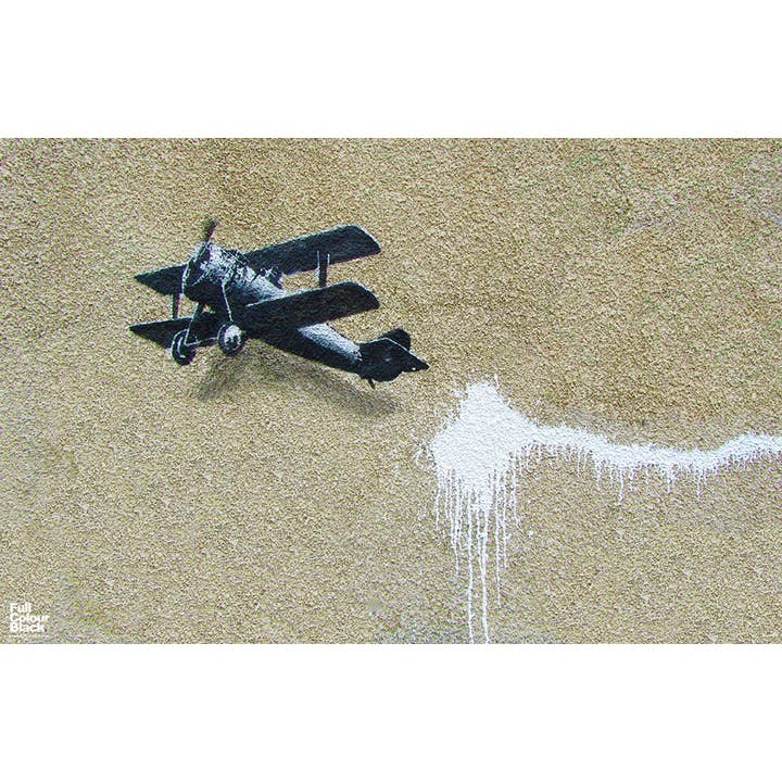 Pyramid America - Wholesale Poster - BiPlane Close-Up 11x17 Bag and Boarded Poster