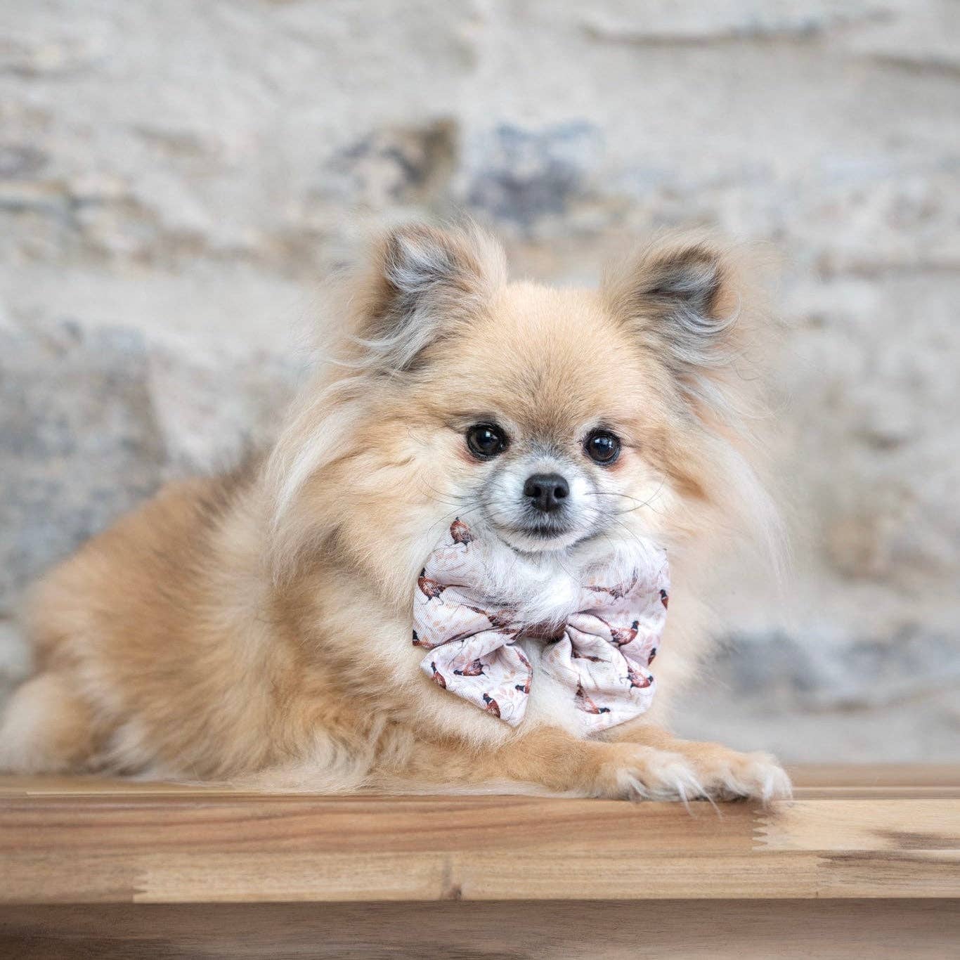 The aDoraBle Pooch Company – wholesale Pet bow tie – Dog – Dog Sailor Bow Tie - Farmland Pheasant2