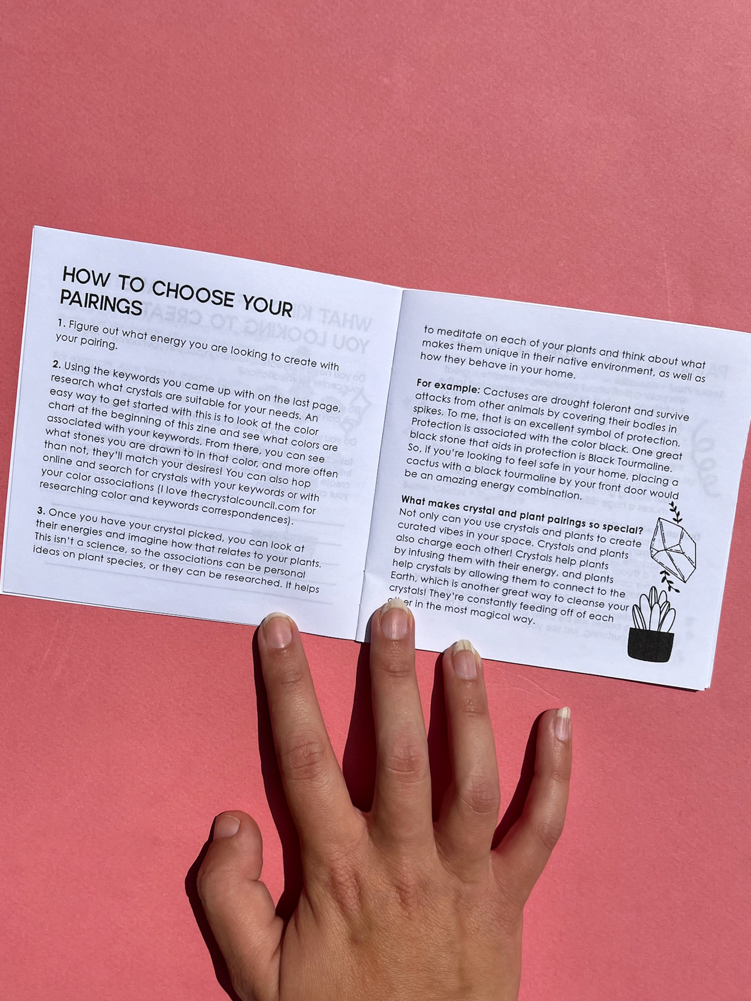 Venus Moon - Wholesale Nature & Outdoors Book - Plants + Crystals: An Energetic Pairing Zine2