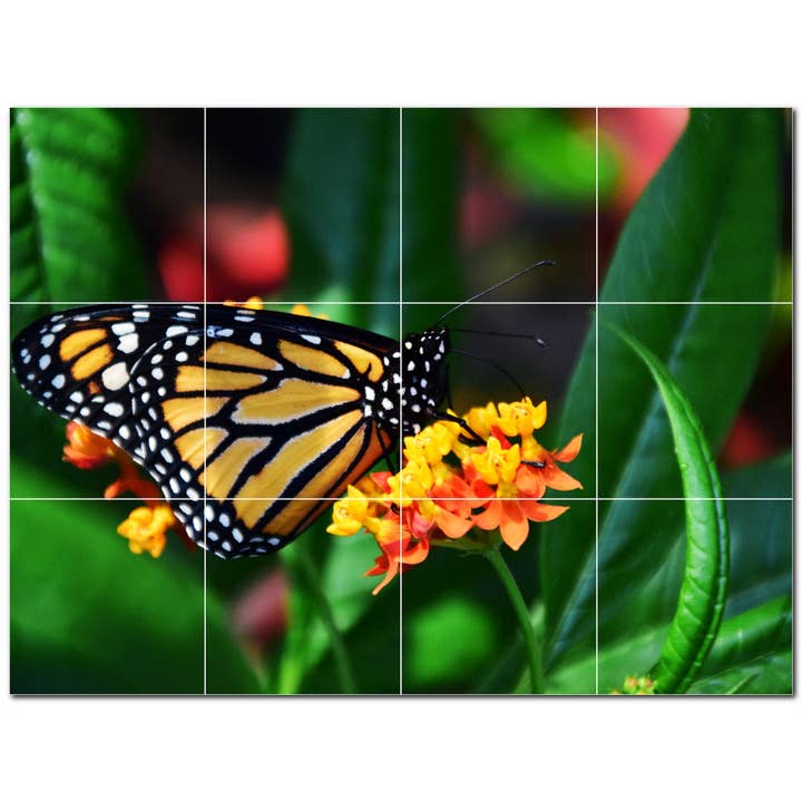 Schmetterlingskeramikfliese Keramikfliesen-Wandbild PT500307 für den Großhandel von Picture-Tiles.com