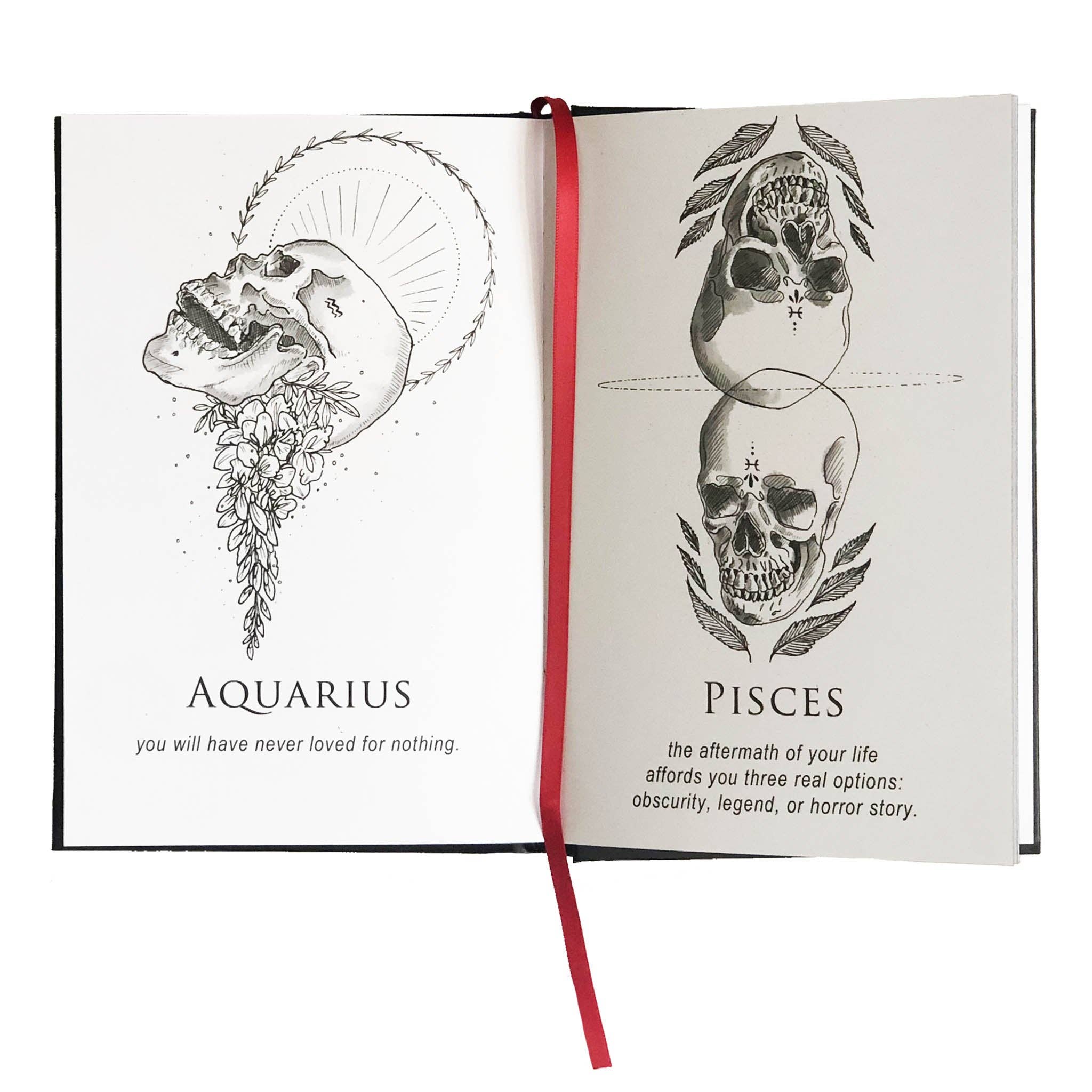 13th Press - Wholesale Humor - "Shitty Horoscopes" The Anthology, Hardcover3