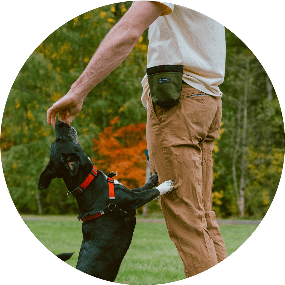 Wildebeest - Wholesale Pet Treat Bag - Dog - Alamo Magnetic Dog Treat Pouch11