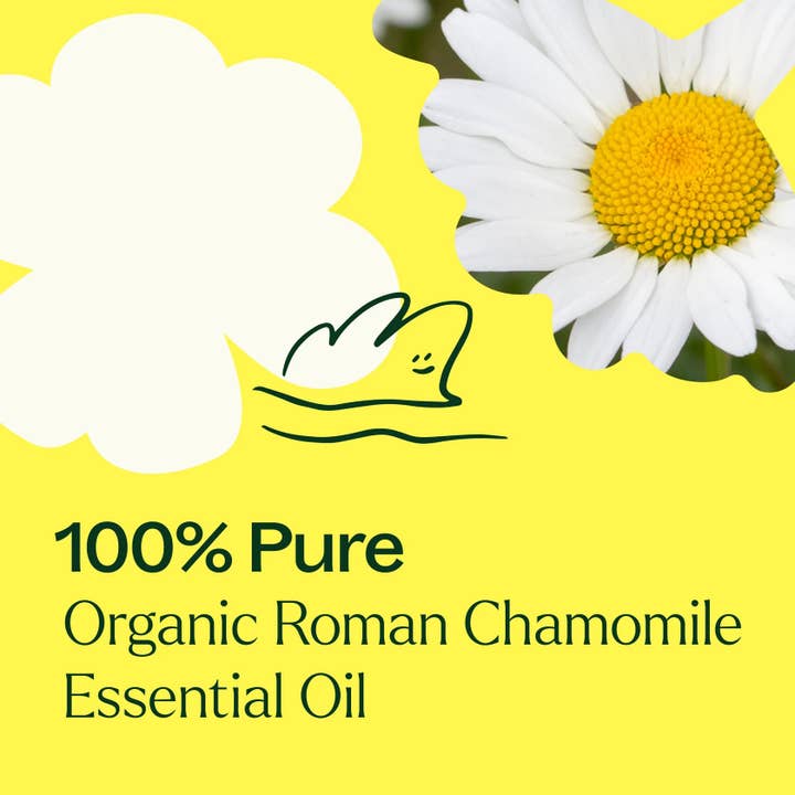 Plant Therapy - Wholesale Essential Oil - Organic Roman Chamomile Essential Oil 2.5 mL4