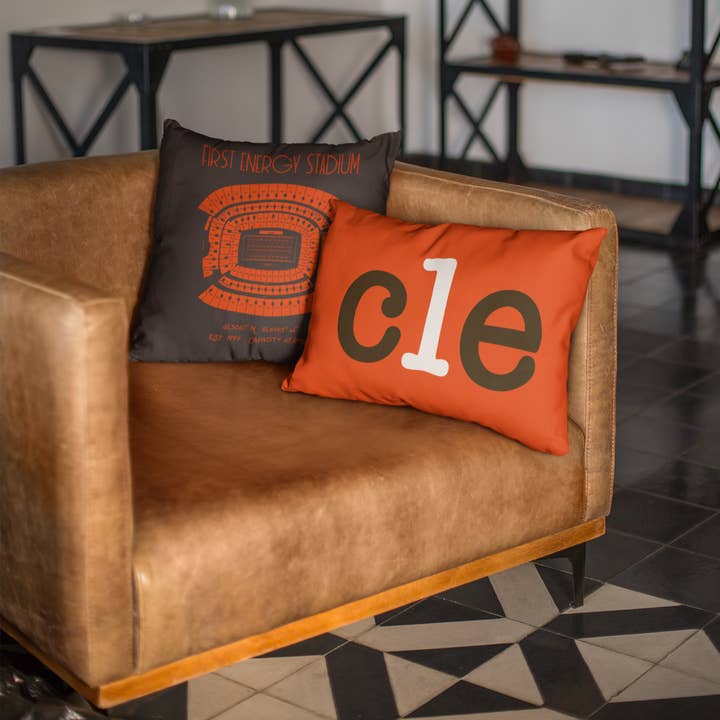 Cleveland Browns Football Stadium & City Pillows for wholesale by Stadium Prints by BTB