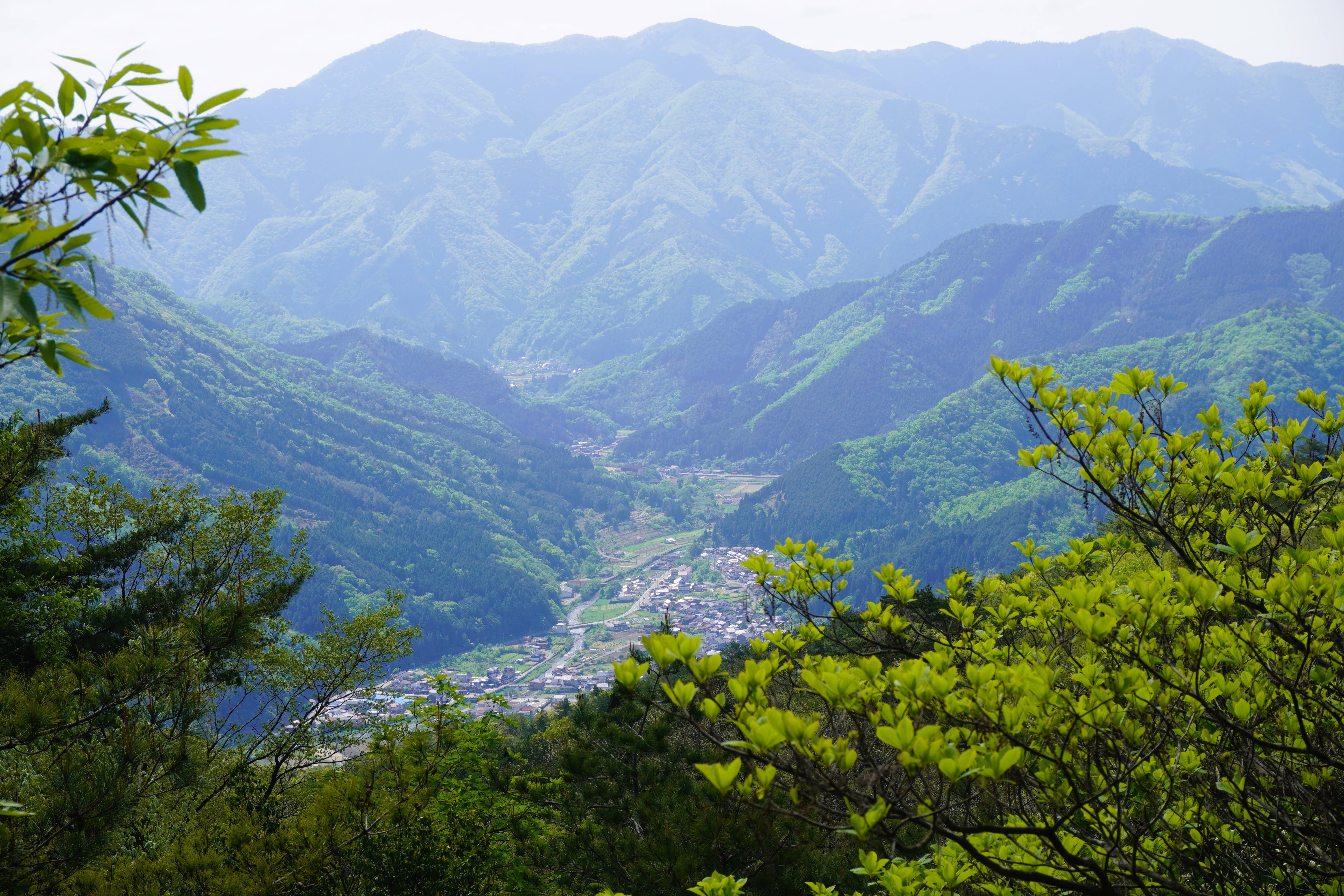 Japan Artisans - Wholesale Vinegar - Tajima-Smoked Vinegar [Konotori Junmai] – 200ml | Japan4