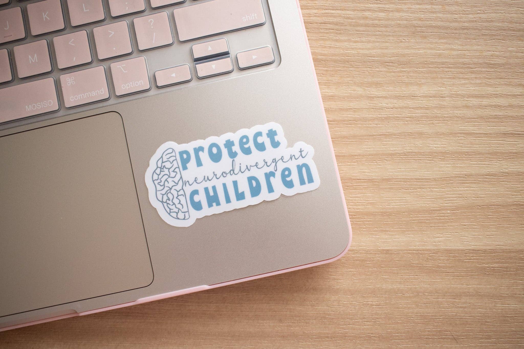 Blush & Brim Co - Wholesale Sticker - protect neurodivergent children v.2 sticker