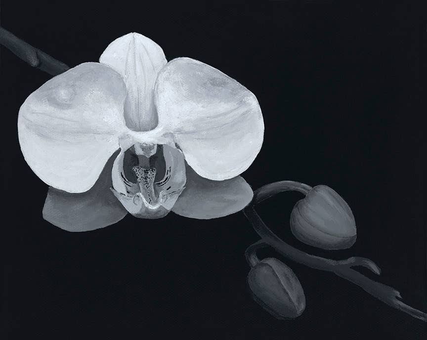 Kellie Sansone Creates - Wholesale Art Print - Beauty in the Dark - Black & White Orchid Giclee Print