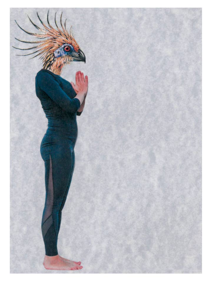 Namaste per la vendita all'ingrosso da parte di Rare Bird