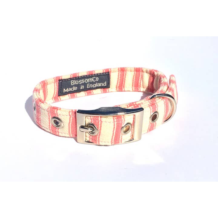 BlossomCo - Wholesale Pet Collar - Dog - Bennet - Pink Ticking Dog Collar