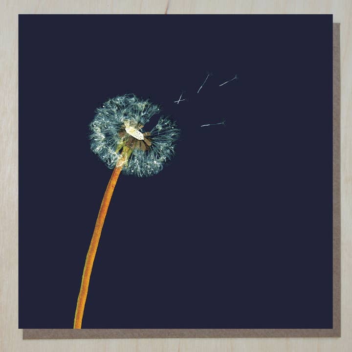 Windsock Press - Wholesale Everyday Greeting Card - Puff Clock Card (wild flowers)