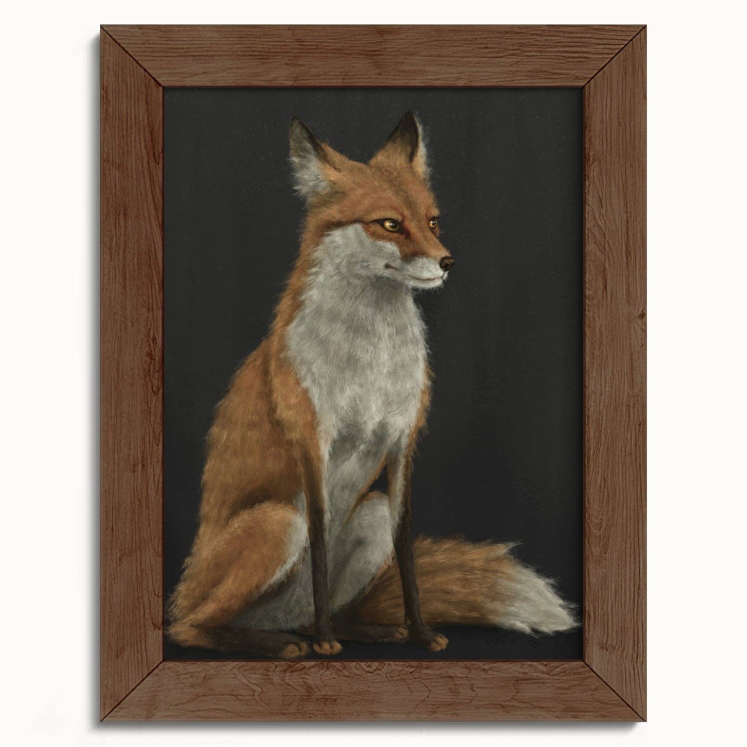 The Ugly Cat Studio - Wholesale Art Print - Red Fox Fine Art Print - Black Edition7