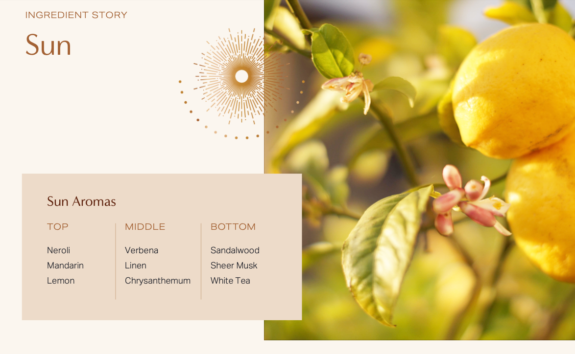 Satya + Sage - Wholesale Jar/Filled Candle - 5oz. Sun Candle2