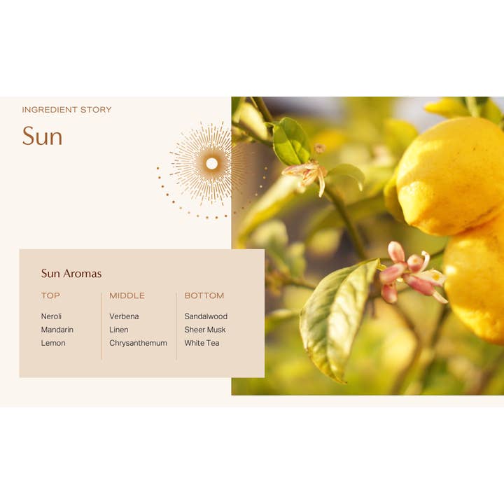 Satya + Sage - Wholesale Jar/Filled Candle - 5oz. Sun Candle2