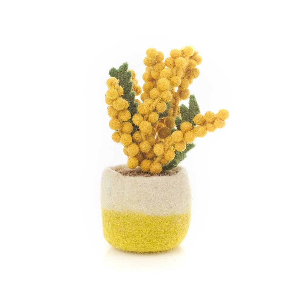 Felt So Good - Wholesale Kunstplant - Handgemaakte vilten vrolijke kamerplanten kunstplant cactus3