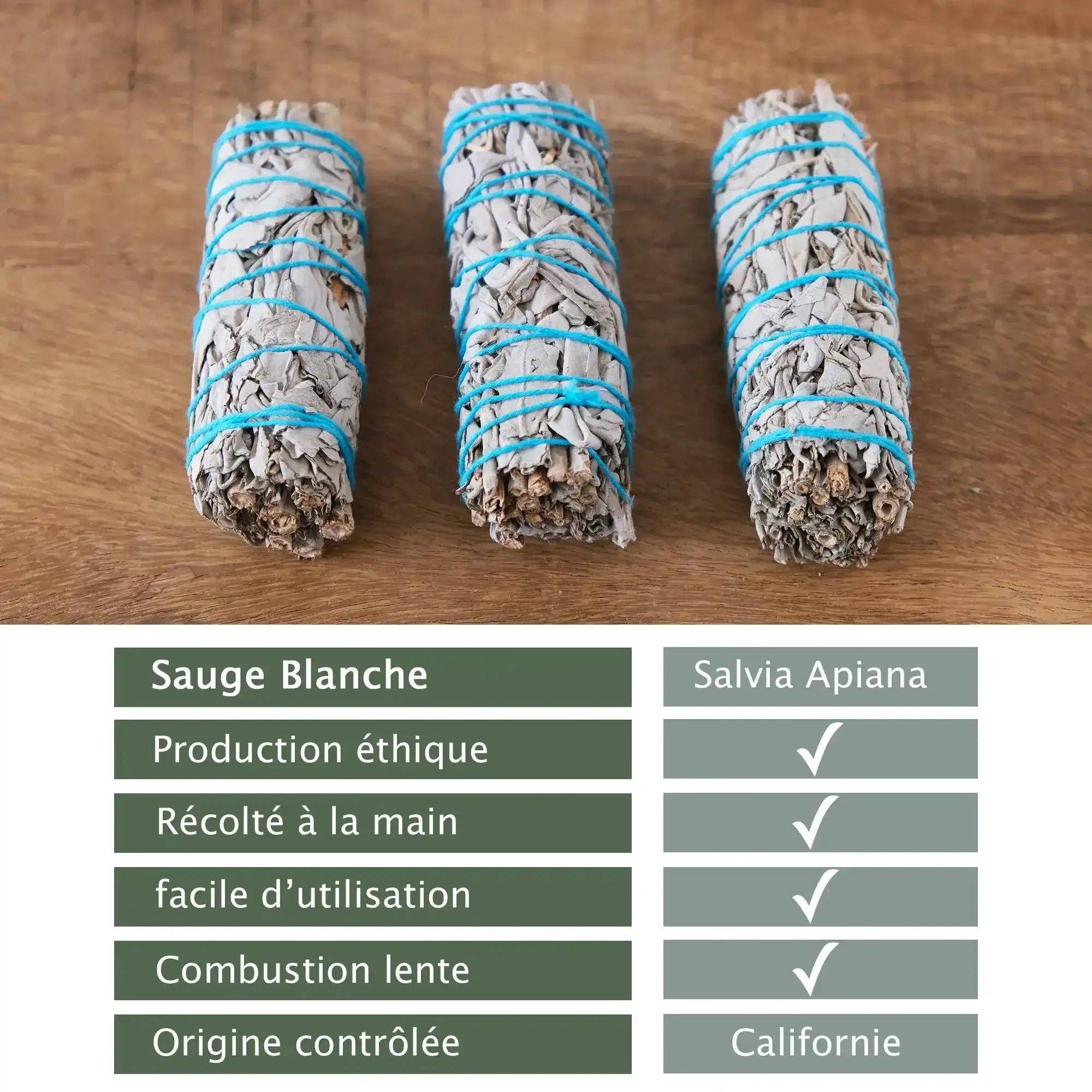 Veegreen – wholesale Sage bundle – White Sage Purification in Bulk6