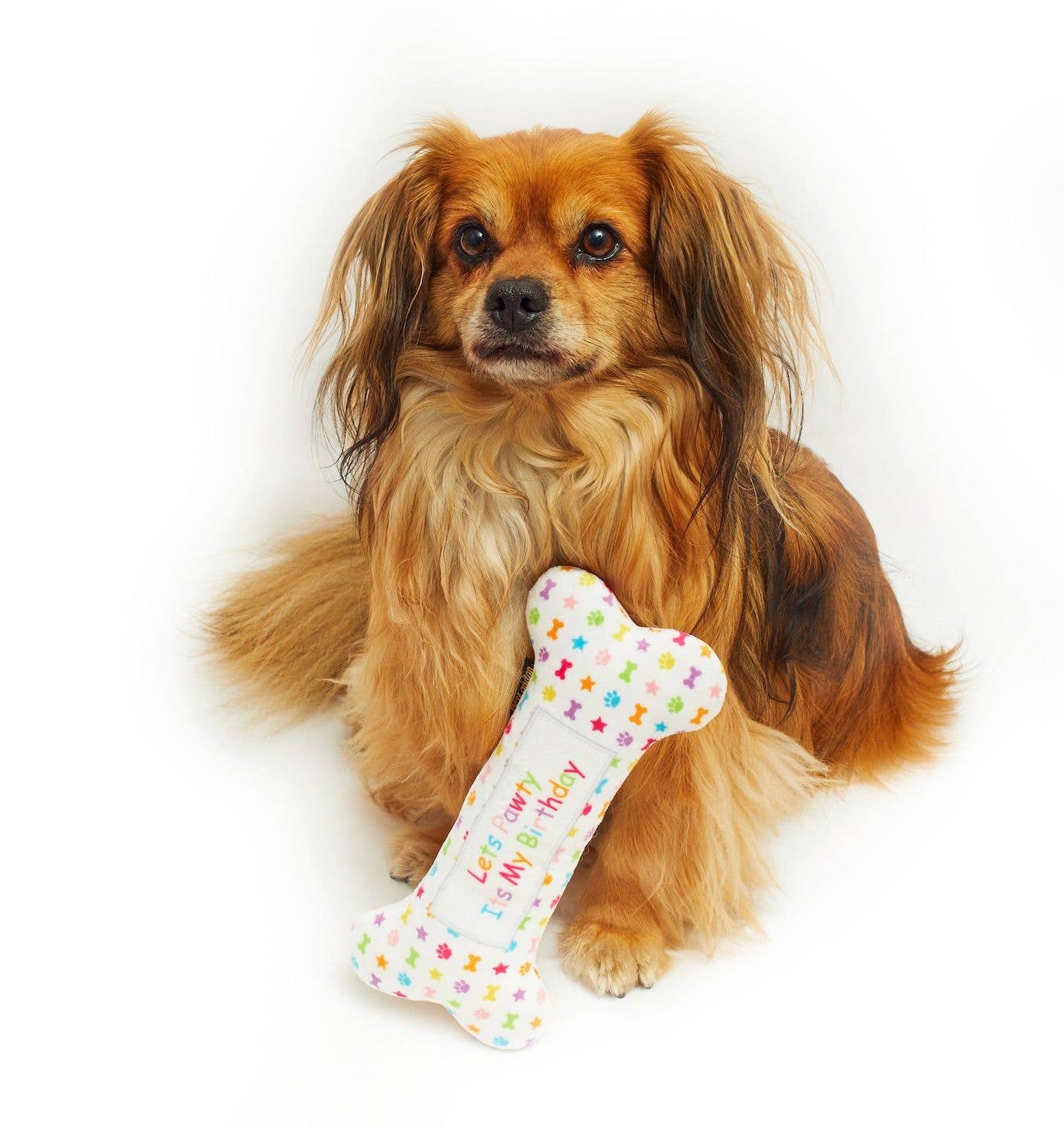 PetLondon – wholesale Pet plush toy – Dog – Lets Pawty Birthday Bone3