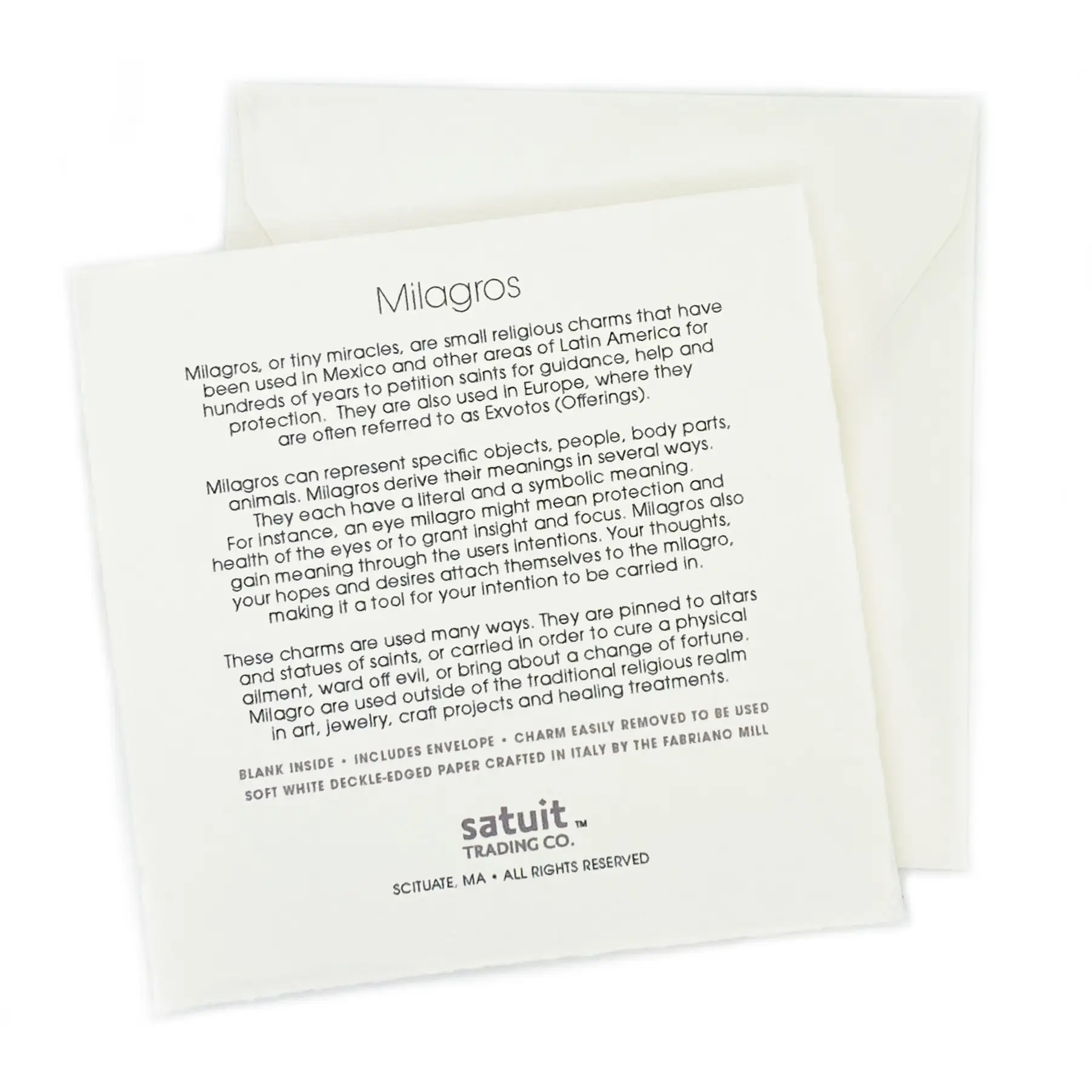 Satuit Trading Company - Wholesale Stationery/Notecard Set - PIG Milagro Notecard1