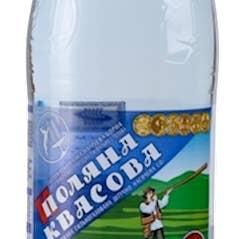 Hudson Meat Company - Wholesale Sparkling Water - MINERAL WATER MORSHINSKA HIGH - MORSHINSKA0