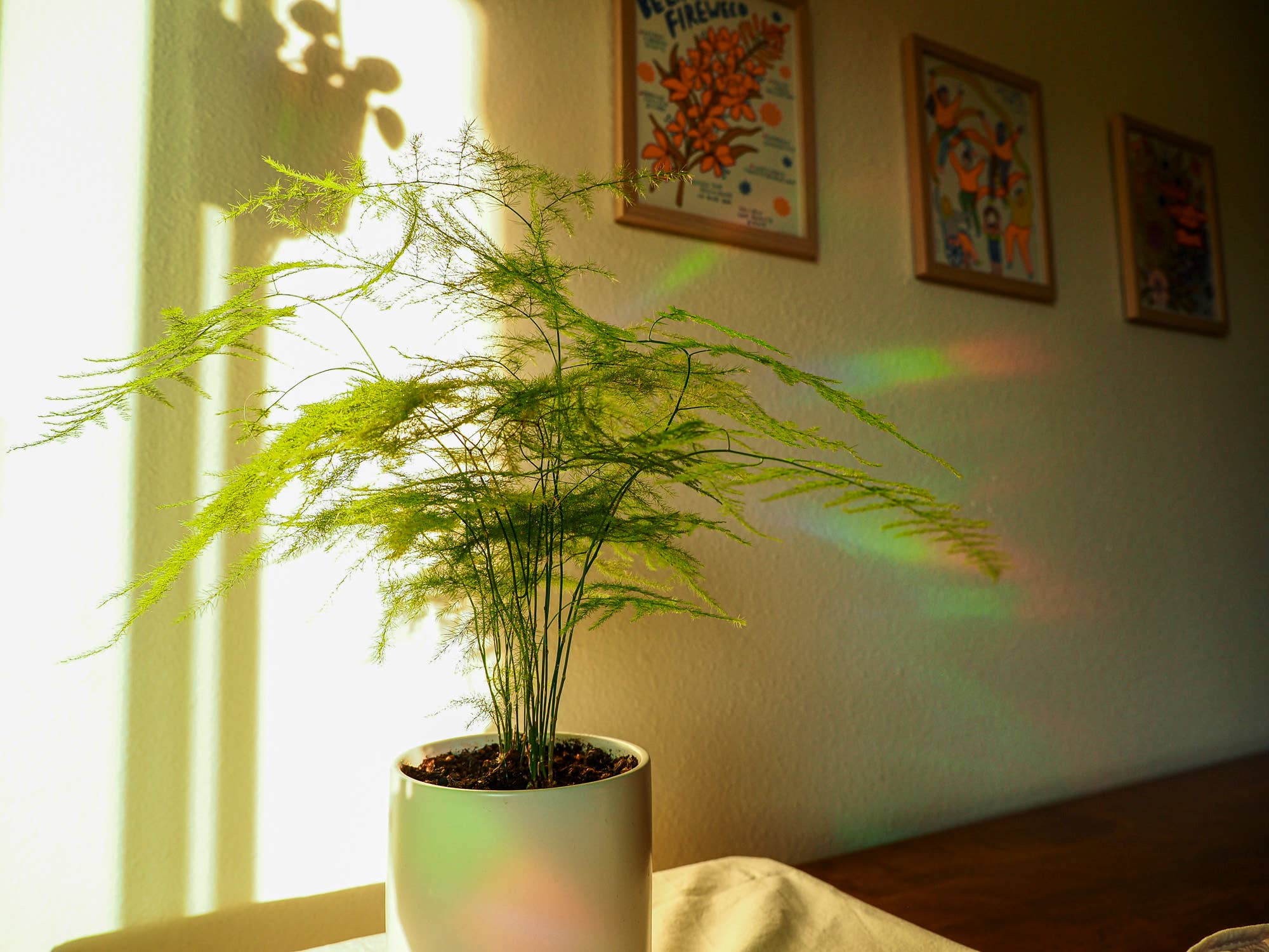 Katie Blanchard Art + Works - Wholesale Sticker - This Day - Rainbowmaker Window Decal3