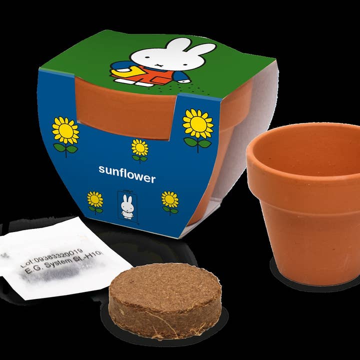 Pot en terre cuite Miffy Tournesol pour la vente par Philos Green Products