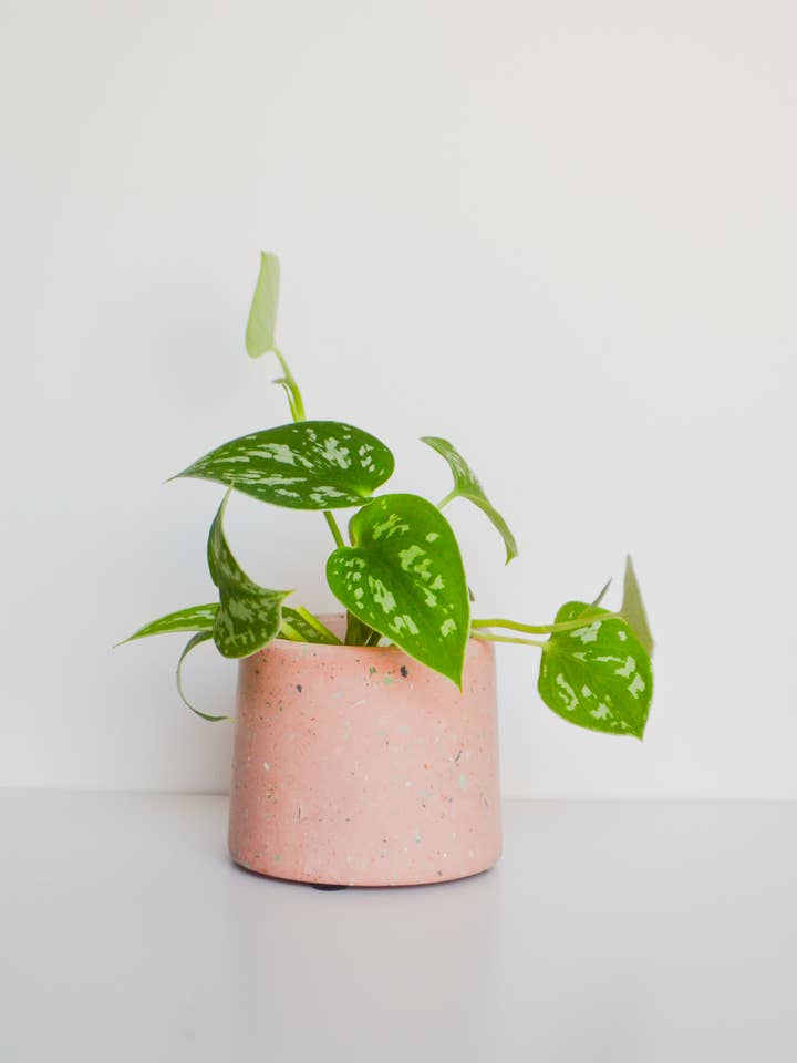 Zero Waste Terrazzo Planter ( Multiple Colors ) for wholesale by LindaMakess