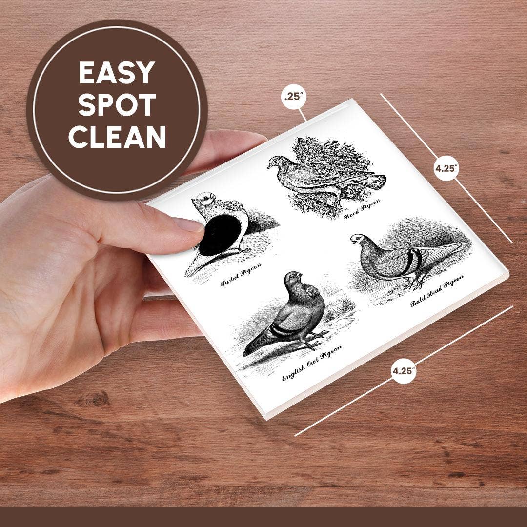 3dRose - Wholesale Coasters - 3dRose, Vintage Breeds of Pigeon Art Illustration Black and White for bird fan, Coaster6
