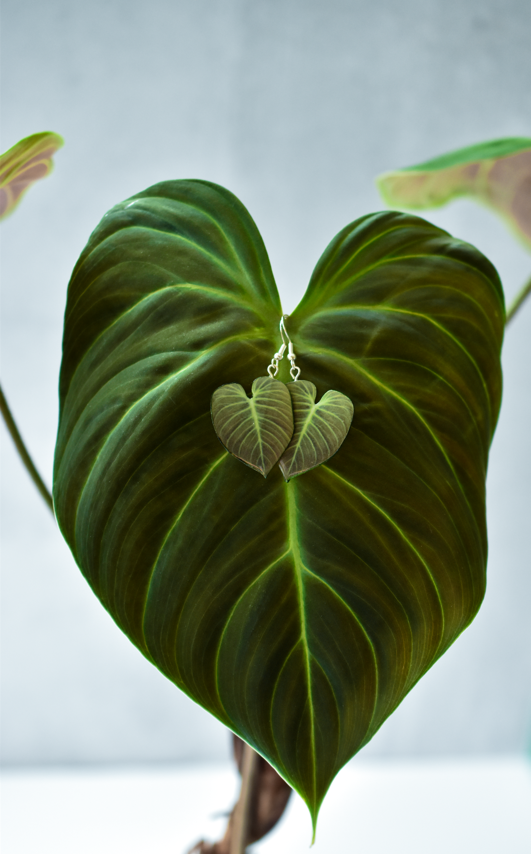 For the Love of Foliage - Wholesale Dangle Earrings - Philodendron El Choco Red || Handmade Leaf Earrings || Plant Earrings || Sterling Silver Earrings2