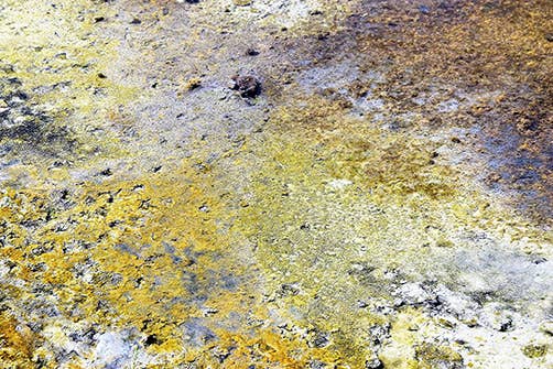 Artisans du sel – wholesale Salt – Guérande-salt i tryckt återanvändbar bomullspåse 500 g2