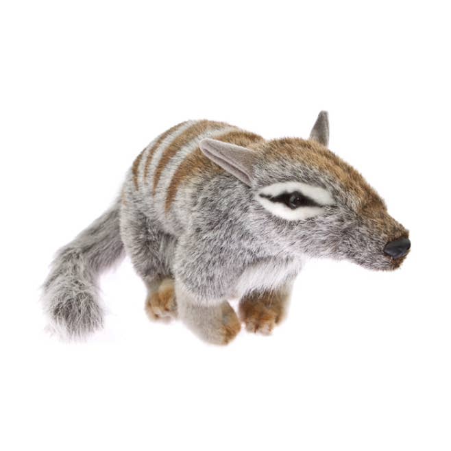 Sherbert - Numbat Fyllat/Plyschleksak, Storlek 28cm/11" för wholesale av Bocchetta Plush Toys