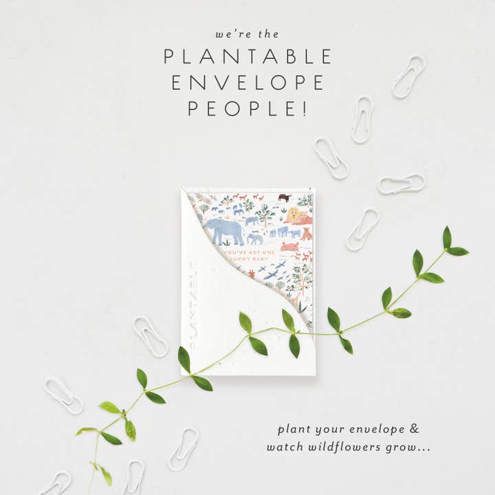 Seedlings – Großhandel Babykarte – Glücklicher Baby-Spross - Mini-Babygrußkarte (2,5" x 3,5")1