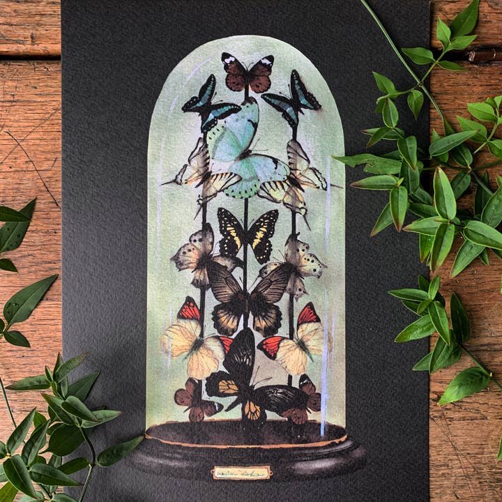 Georgiou Draws - Wholesale Art Print - Antique Butterfly Dome Watercolour Art Print