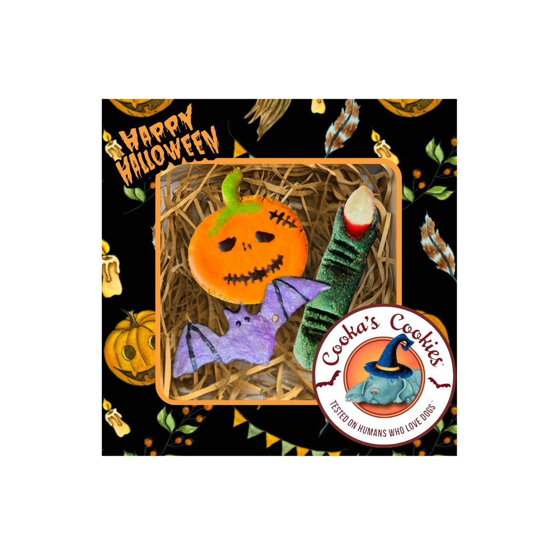 Belpharmed bv: Cooka's Cookies & Sensidog - Wholesale Pet Treats - Dog - Halloween - Spooky Box1