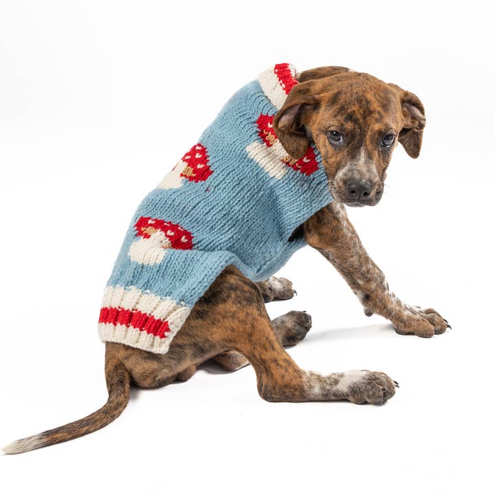 CHILLY DOG LLC - Wholesale Pet Sweater - Dog - Mushroom Sweater