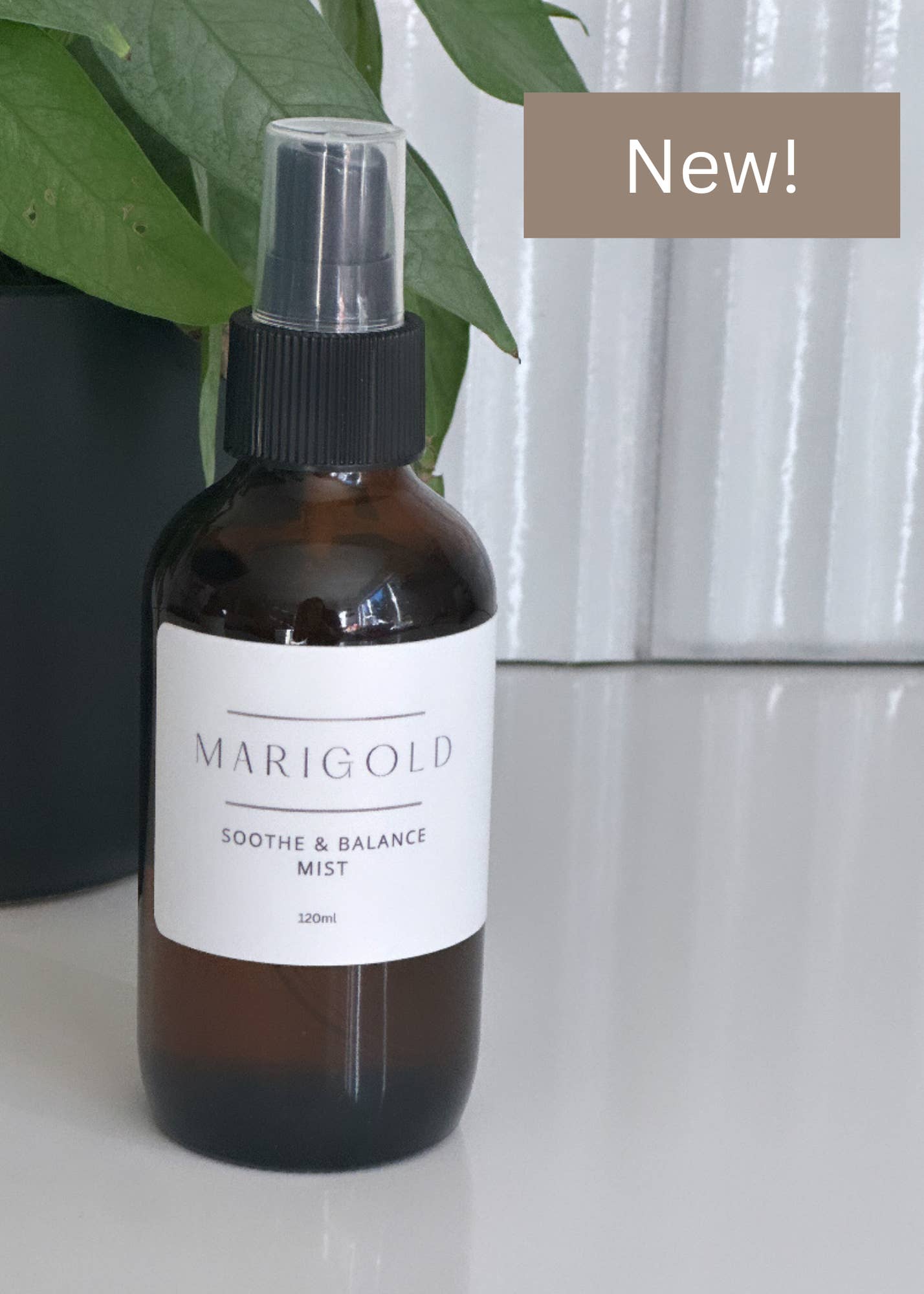 Marigold Salve - Wholesale Face & body mist/water - Soothe & Balance Mist